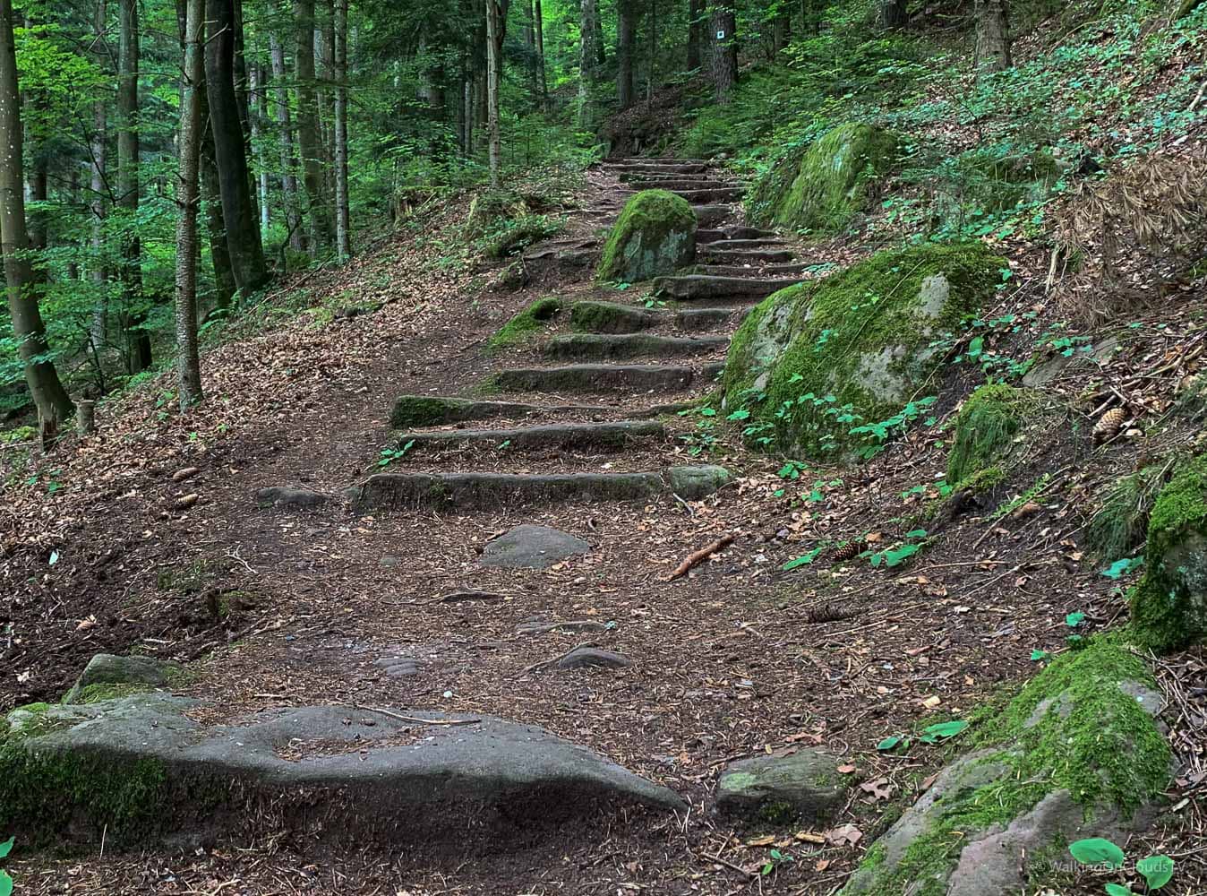 Nördlicher Schwarzwald - Sehenswürdigkeiten und Reisetipps - Hotel KroneLamm - Wellness - Entspannung - Bad Teinach - Zavelstein - Premiumweg "Der Teinacher"