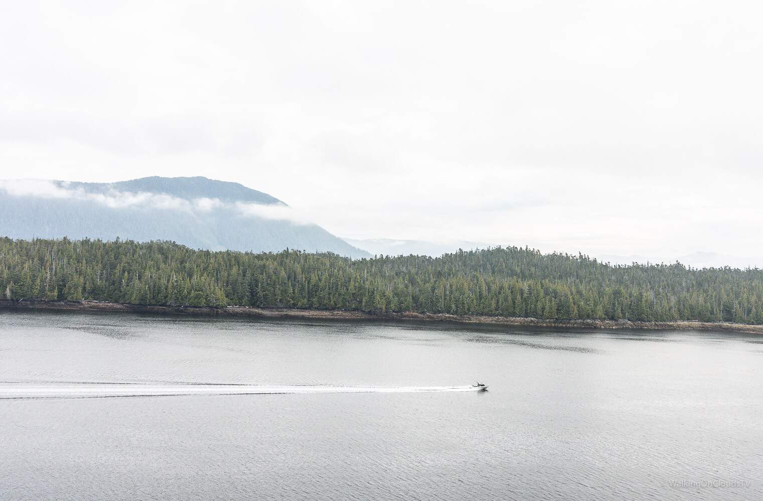 Alaska-Kreuzfahrt Princess Cruises - Royal Princess - Einschiffen - erster Eindruck - Kreuzfahrt erleben als Single, Best-Ager und Rentner - Was bietet das Schiff